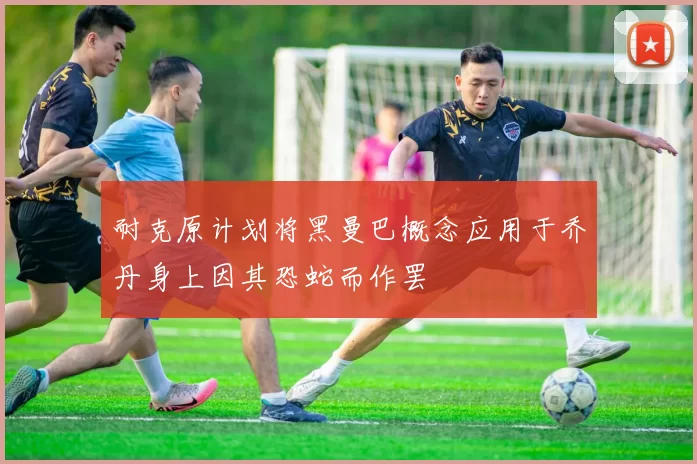 耐克原计划将黑曼巴概念应用于乔丹身上因其恐蛇而作罢